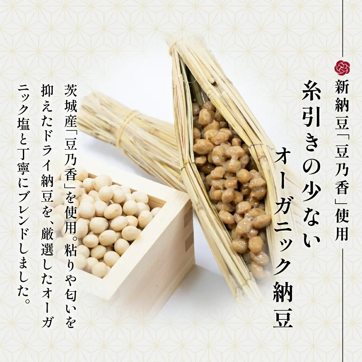 【京遊膳 花みやこ】NATTO SALT 1個入【配送不可地域：離島】【1660252】