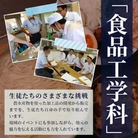 水産高校生考案　枕崎かつおラーメン2人前×4袋　和風しお味　液体スープ付　コンパクトサイズV0-4【配送不可地域：離島】【1658461】