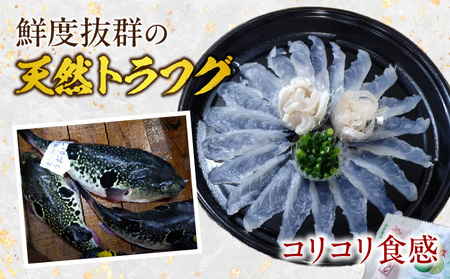 三河産天然トラフグ刺身とヒガンフグたたきの食べ比べセット・U047