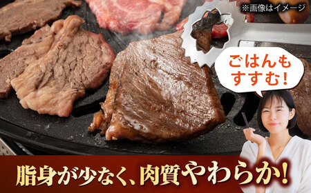 【訳あり】博多和牛ヒレ焼肉用 600g [BGAM012]牛肉 焼肉