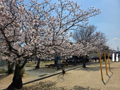 【学校応援ふるさと寄附金】田原本町立平野小学校（返礼品なし）5,000円