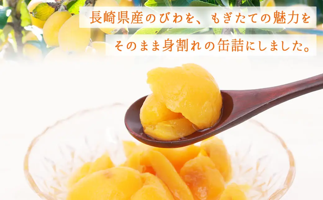 長崎県産 びわ（身割れ）缶詰 8個セット 国産 八女市 ビワ 枇杷 フルーツ缶詰 保存食 非常食 防災 備蓄食 かんづめ フルーツ 果物 身割れ まとめ買い 007-035