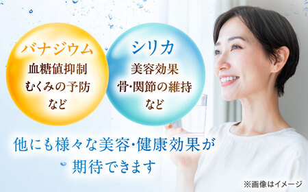 【全6回定期便】強炭酸水 24本[AOEH028]炭酸