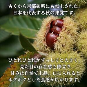 【先行予約 数量限定】2026年度産 丹波くり 2Lサイズ 1kg 和栗 丹波栗