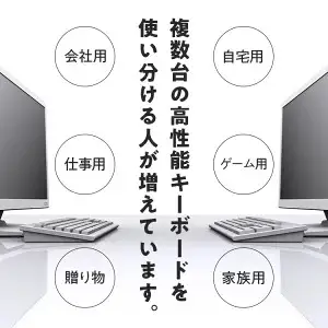 東プレ REALFORCE RC1 コンパクトキーボード 日本語配列 30g（型式：C1HJ23）