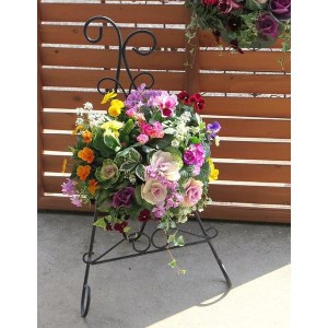C053 花うるる おまかせハンギング 寄せ植え Ｍサイズ(完成品 鉢 鉢植え 壁掛け ハンギングバスケット 通販 プレゼント おしゃれ 珍しい 苗 玄関 屋外 フラワーギフト 誕生日 花苗 ギャザリング 冬 プランター ハンキング 花飾り 園芸 アレンジメント 春 お花