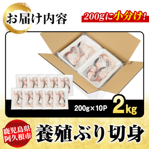 養殖ぶり切身(約2kg) 鹿児島県 阿久根市 ブリ ぶり 鰤 魚貝 魚介 海産物 切身 切り身 煮物 煮つけ 焼き魚 おかず おつまみ 小分け 【さるがく水産】akn028-45