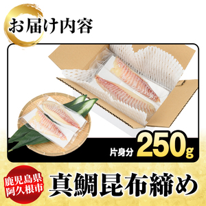 真鯛昆布締め(約250g) 鹿児島県 阿久根市 たい タイ 真鯛 魚貝 魚介 海産物 昆布〆 風味 旨味 おかず おつまみ 【さるがく水産】akn028-48