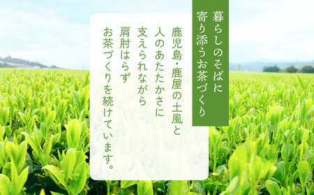 お茶 農家 の 水出し 緑茶 ティーバッグ（ 1番茶 使用 1L対応 ） KN166-002-02 茶