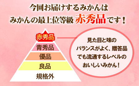 みかん 赤秀品 ハウスみかん 約2.5kg