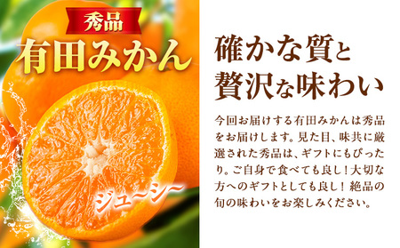 みかん 秀品 有田みかん 約2kg