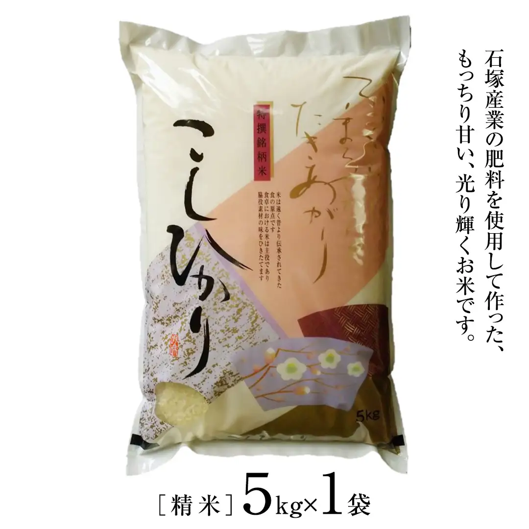 ≪ 令和7年度 ≫ コシヒカリ 精米 5kg ( 5kg × 1袋 ) (茨城県共通返礼品 かすみがうら市産) 米 ごはん もっちり 甘い コメ お米 白米 銘柄米[EX010sa]