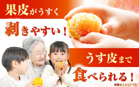 【ご家庭用】 西南のひかり約3kg 長与町/果豊園[ECL010]