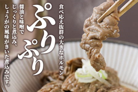 レンジ温めOK！高橋旅館 馬ホルモン煮込 500g(250g×2)