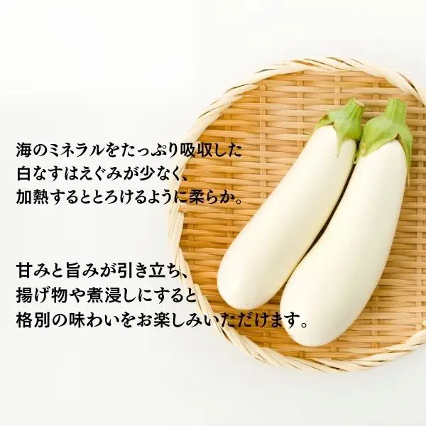 【訳あり】 農家直送 白茄子 土佐の美味茄子の新鮮ナス 8本 2kg 野菜 なす ナス 常温 小袋 国産 夏野菜 茄子 小分け 旬 高知