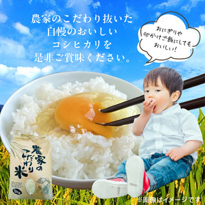【先行受付】令和8年産　上毛町産　東農園のこだわり米　コシヒカリ　5kg _HGS0207
