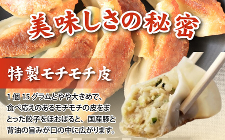 【訳あり】福井のうまい生餃子 50粒【冷凍】[A-195002]　ぎょうざ たれ付き もちもちおかず 冷凍 豚肉 国産 送料無料
