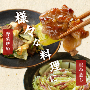 豚肉 切り落し 9kg 【工場直送 業務用】 九州産豚切り落とし＜計9kg(300g×30P)＞ 肉 国産 豚肉 切り落とし 国産 九州産 小分け 真空パック しゃぶしゃぶ c0-137