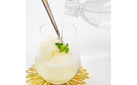 文旦アイス 6個入り 1個110ml ブンタン ぶんたん フルーツ 果物 柑橘 みかん お菓子 おかし おやつ デザート スイーツ ギフト おいしい 爽やか シャーベット【有限会社戸田商行】 [BQCA012]