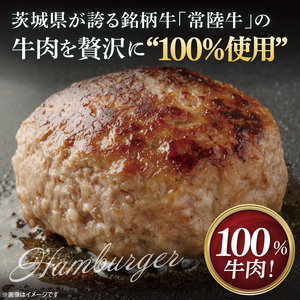 【茨城県共通返礼品】常陸牛100％ vs 常陸牛入りハンバーグの食べ比べセット （計10個入り）【黒毛和牛 牛肉 銘柄牛 真空 小分け 個包装 冷凍 茨城県 阿見町】(81-47)