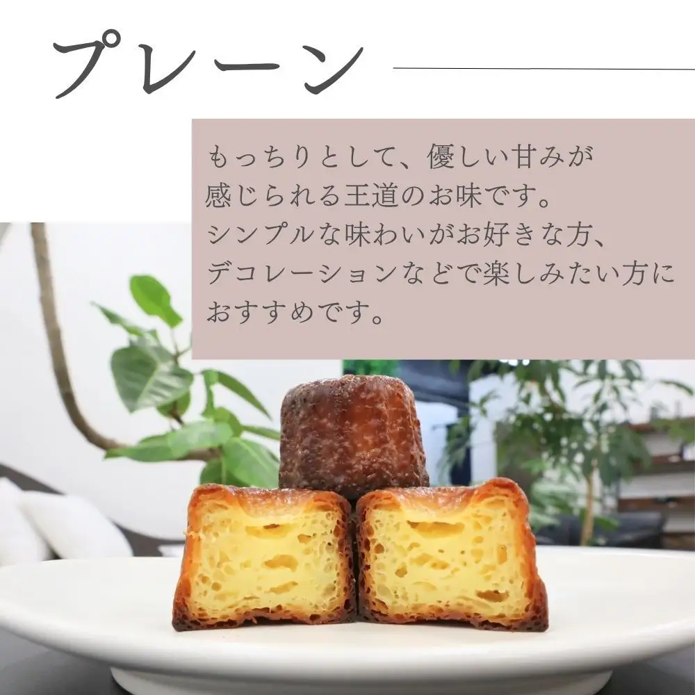 【星が丘カヌレ プレーン10個入り】フランスの焼き菓子 スイーツ 美味しい おすすめ 冷凍 愛知県 人気 高級