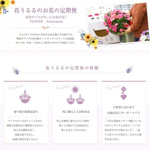 A031 花うるる 定期便 ハンギング 寄せ植え アレンジコース全6回 (サブスク ハンギングバスケット 母の日 春 夏 秋 冬 定期購入 ギフト 花 フラワー 玄関 プレゼント 通販 鉢植え おしゃれ 送料無料 玄関 ガーデニング フラワーギフト 完成品 花苗 寄植え