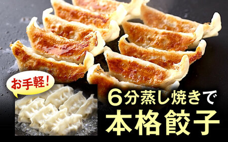 【全3回定期便】 訳あり 本格餃子 100個セット　餃子　冷凍餃子　ぎょうざ　大容量 冷凍　定期便　【株式会社オウモリ食品】[AKHQ004]