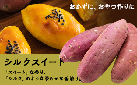 【2026年10月発送！】【秋山農園】北海道産　さつまいも　シルクスイート5kg
