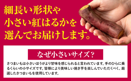 冷凍焼き芋 500g 《30日以内に出荷予定(土日祝除く)》さつまいも 