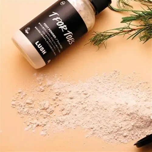 LUSH(ラッシュ) 素足のTブレイク 2個セット【1655402】