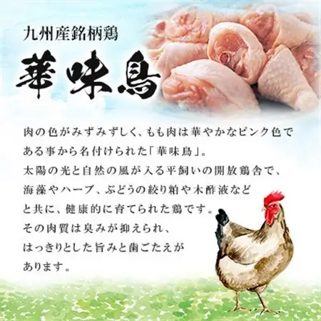 博多華味鳥 水たきセット 6～8人前(大野城市)【配送不可地域：離島】【1641908】