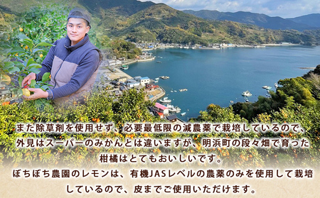 ＜ぼちぼち農園のレモン 家庭用 約3kg＞ 3キロ レモン れもん 檸檬 訳あり わけあり ワケアリ ご自宅用 ご家庭用 果物 柑橘 フルーツ アレンジ 料理 国産 国産レモン 愛媛県産 特産品 ぼちぼち農園 愛媛県 西予市【常温】『2027年1月～3月中旬迄に順次出荷予定』ABB0007
