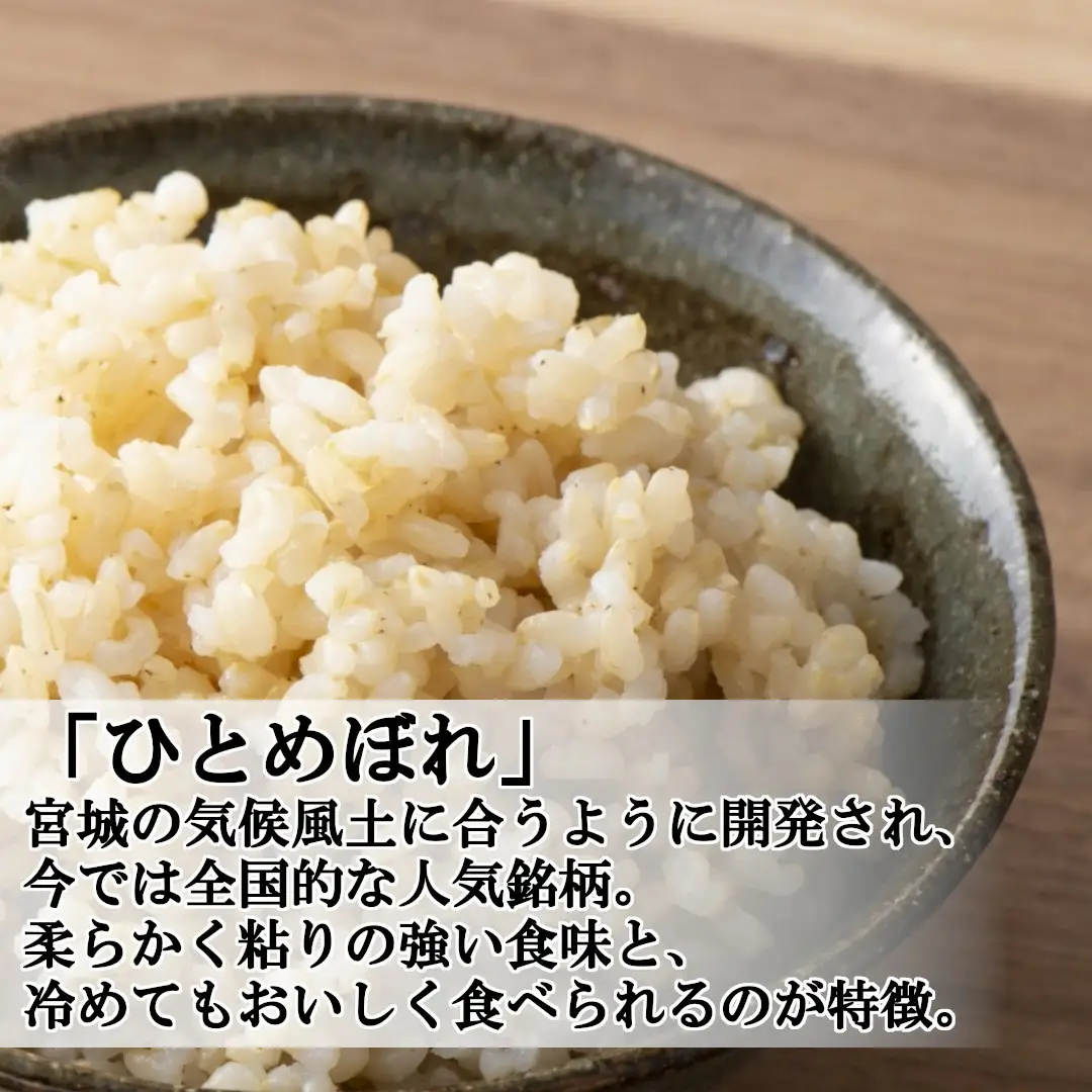 【令和7年産米】蔵王産ひとめぼれ10kg（玄米）／ 米 ごはん ご飯 玄米 食べくらべ 5kg 10kg 2025年産 令和7年産 新米 東北 宮城県産 蔵王産　【04301-0242】
