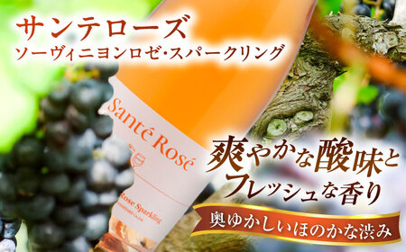ワイン 【2025年】サンテローズ（カベルネソーヴィニヨンロゼ・スパークリング）750ml×1本 [AICS090] ワイン