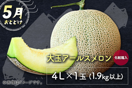 サマーフルーツ定期便 全3回＜メロン・マンゴー・ライチ＞ ※2026年5月開始 旬 果物【E244】