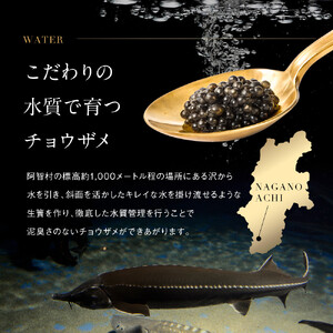 南信州キャビア「天女のほほ笑み」15g