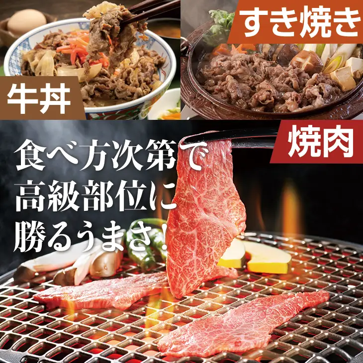 佐賀牛 牛肉切り落とし 600g｜牛肉切り落とし B120-036