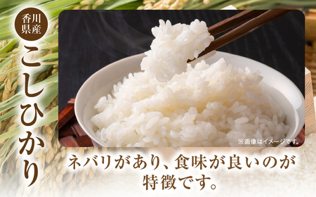 【令和7年産】香川県産こしひかり 10kg（紙袋配送）|新米 コシヒカリ こしひかり 10kg 米 白米 ごはん ご飯 朝食 白ご飯 おにぎり お弁当 おむすび お米 国産 美味しい ツヤ モチモチ 精米 おすすめ 香川県 三木町 |_mk132-110-02