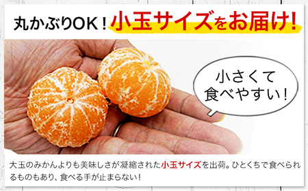 【先行予約】【2か月定期便】訳あり みかん ひとくちもぎたてみかん 約 7kg (7kg×1箱) S-3Sサイズ 訳あり ご家庭用 熊本県産 （荒尾市産含む） 期間限定 フルーツ 果物 旬 冬 柑橘 小玉 みかん《10月上旬-11月末頃出荷》