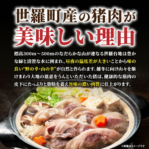 天然猪肉切り落とし 約1.5kg(500g×3) 広島県 猪 しし肉 天然 ジビエ イノシシ いのしし しし汁 猪汁 ぼたん鍋 焼き肉 焼肉 料理 冷凍 BBQ 漁師 送料無料 世羅 A034-01