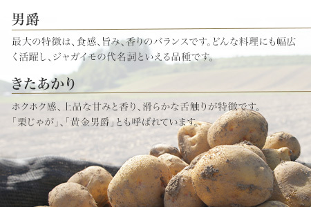 じゃがいも 【令和８年産予約受付！】男爵・北あかり計5kg 男爵 キタアカ じゃがいも  [006-27]
