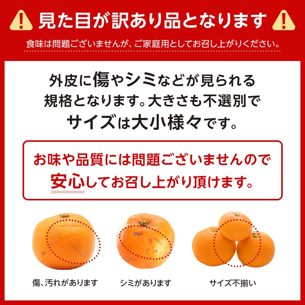 ［先行予約］ご家庭用 極早生 有田みかん 約2kg 2S～Lサイズ混合