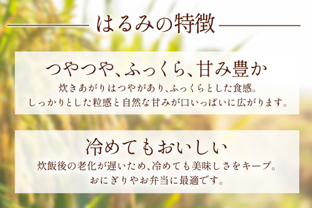 [令和7年産] 伊勢原産 精米10kg(5kg×2袋) はるみ 農家直送！加藤さんちのうんめぇ！自家製米｜お米 おこめ コメ 白米 神奈川 伊勢原 ブランド米 [0524]