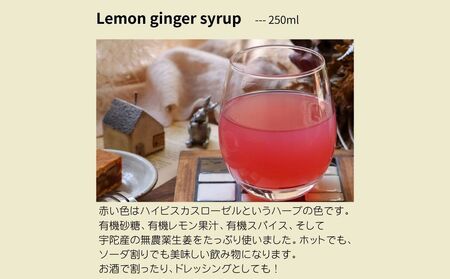 宇陀の午後のお茶セット (化粧箱入り) ／ ふるさと納税 ハーブティー ティーバック セット ギフト お茶 クッキー おやつ お土産 贈り物 シロップ ヨーグルト ホット アイス 国産 奈良県 宇陀市 bijinness
 