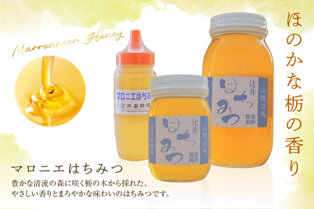 【国産純粋 マロニエはちみつ 250g ポリ容器】国産 純粋 マロニエ はちみつ ハチミツ 蜂蜜 栃の木 やさしい 香り まろやか パン ヨーグルト おすすめ 兵庫県  辻井養蜂場 81-01