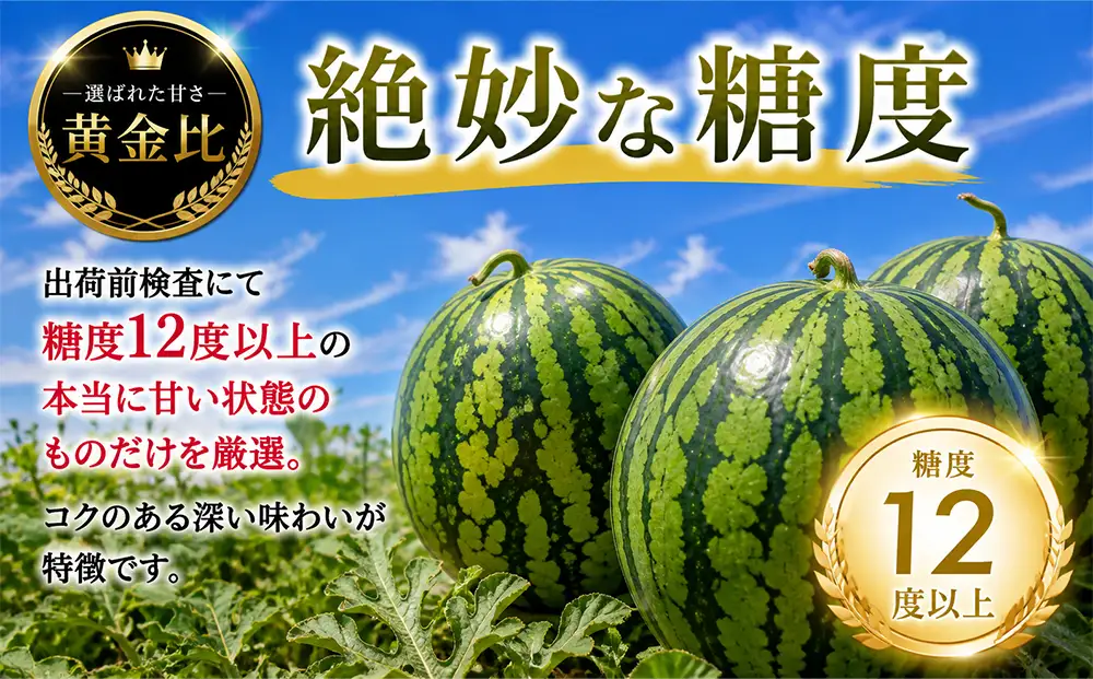 【予約商品】まさかり　スイカ　１玉7～9kg(2Lサイズ以上)