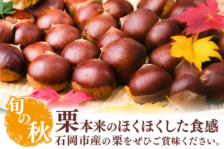 【 2026年 先行予約 】 生栗 1kg くり 栗 有機 肥料 栽培 国産 果物 くだもの 和栗 フルーツ 1キロ 9月 発送 秋 旬 品種 茨城県産 産地直送 産直 農家直送 冷蔵 茨城県 石岡市 (A04-008)