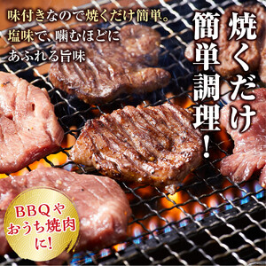 やわらか 厚切り 牛タン 750g 塩味 ｜ 牛タン 仙台