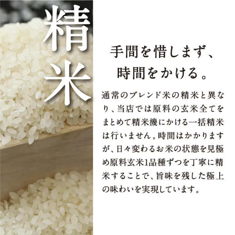 〈6ヶ月定期便〉【八代目儀兵衛】京の料亭米 無洗米 新米予約 5kg｜京都 米料亭 五ツ星お米マイスター厳選 人気セット