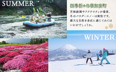 北海道 倶知安町 宿泊 利用 クーポン 【10万円分】チケット 旅行 ホテル パークハイアット ニセコ HANAZONO Panorama Niseko AYA Villas 他 リゾート コンドミニアム コテージ ヴィラ 券 宿泊券 観光 高級 宿 体験 長期滞在 旅 